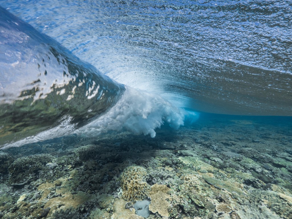 Exploring the marine resources of&nbsp;Tonga