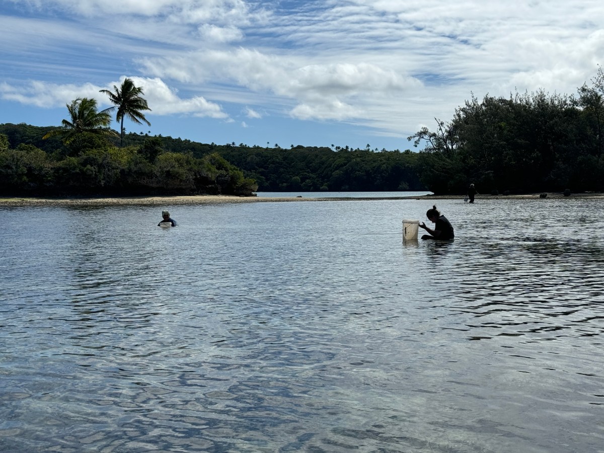 Updates from community and team activities….