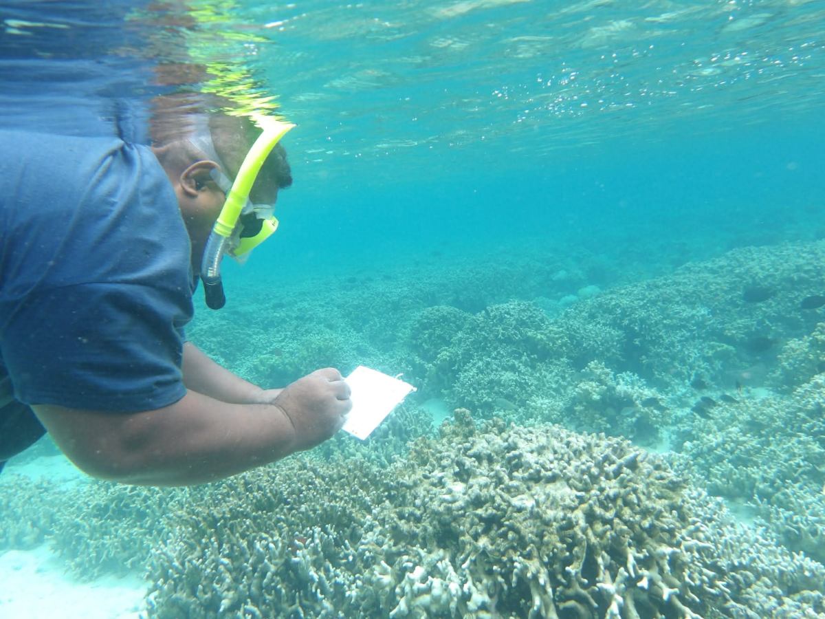 Coral Bleaching Awareness&nbsp;Month