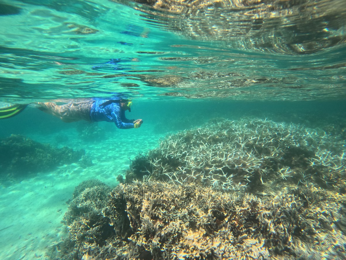 Hope is resilience….